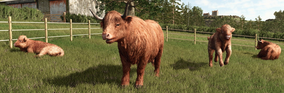 dlc image