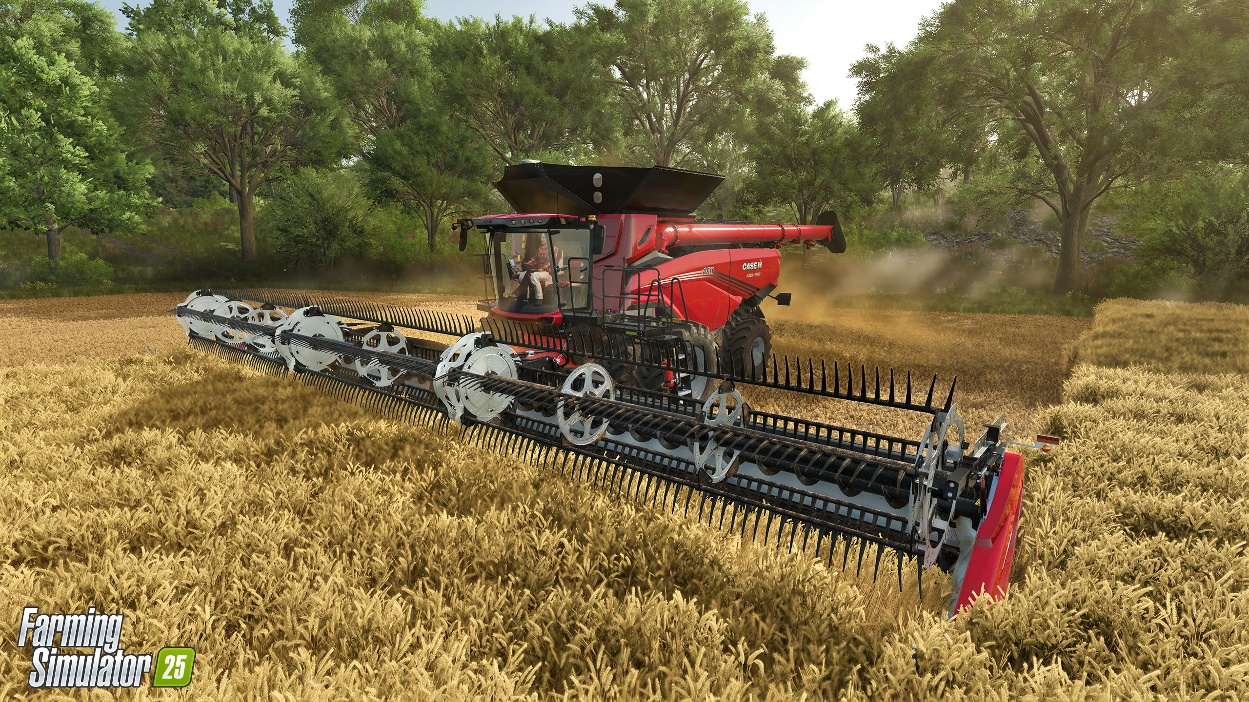 FS25 Screenshot 1