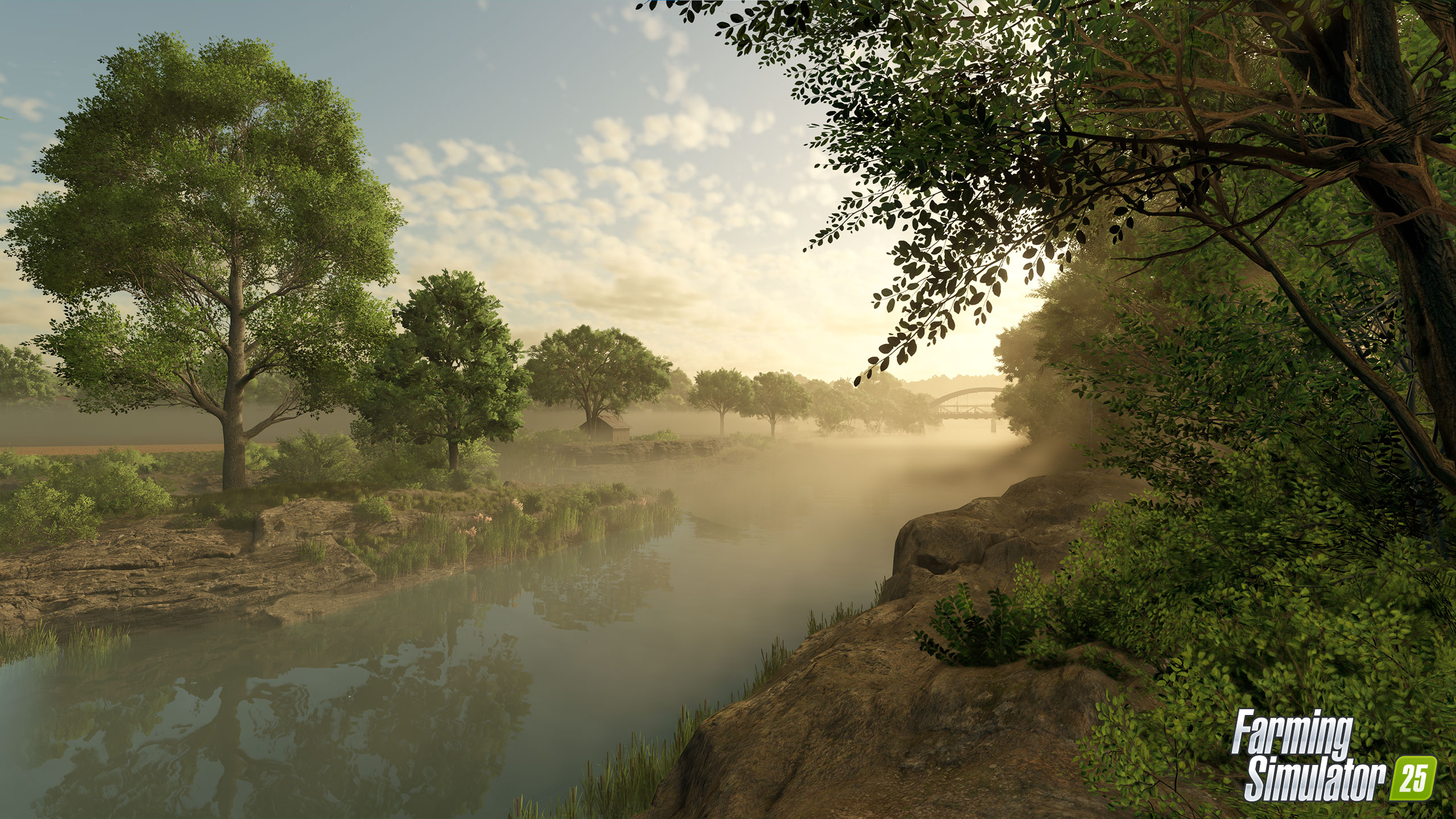 FS25 Screenshot 5